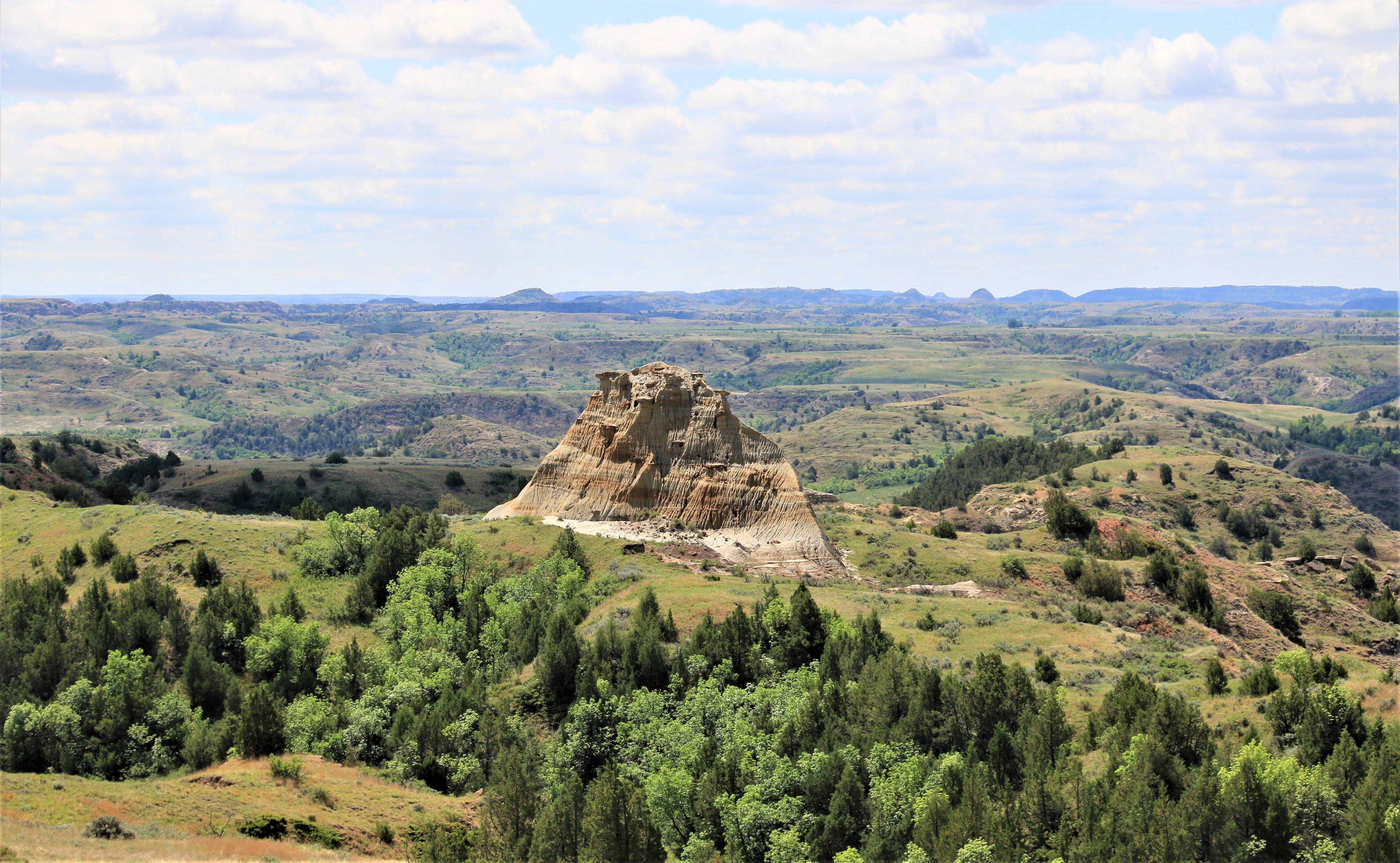 Theodore Roosevelt NP